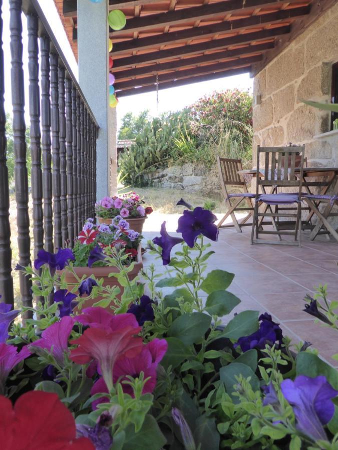 Villa Quinta Do Cobral à Oliveira do Hospital Extérieur photo
