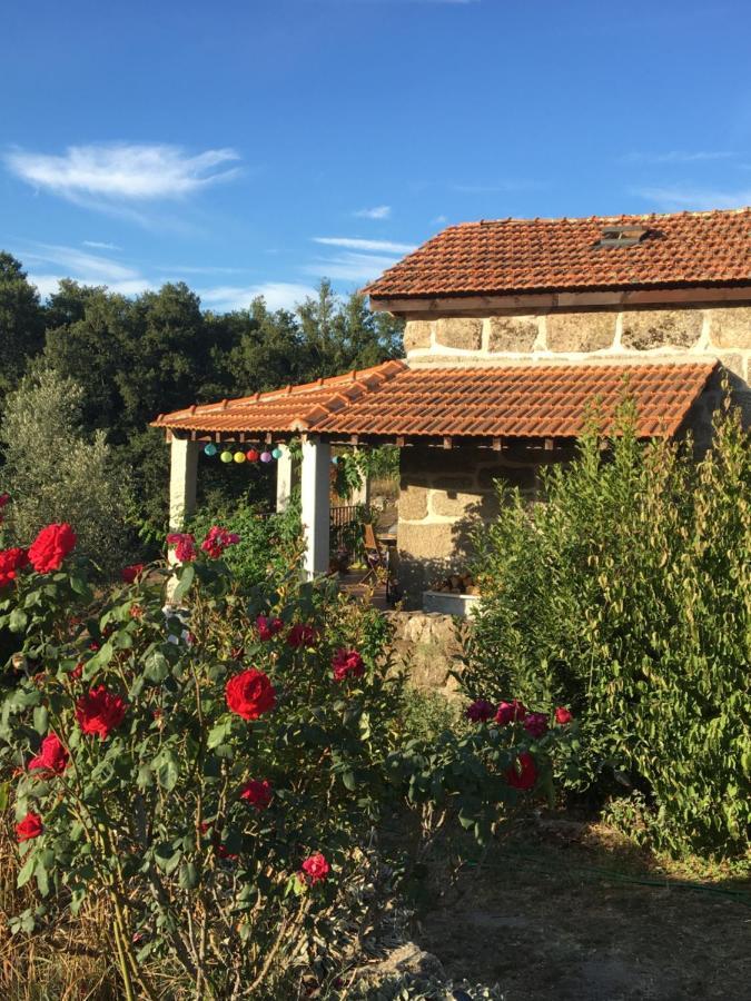 Villa Quinta Do Cobral à Oliveira do Hospital Extérieur photo