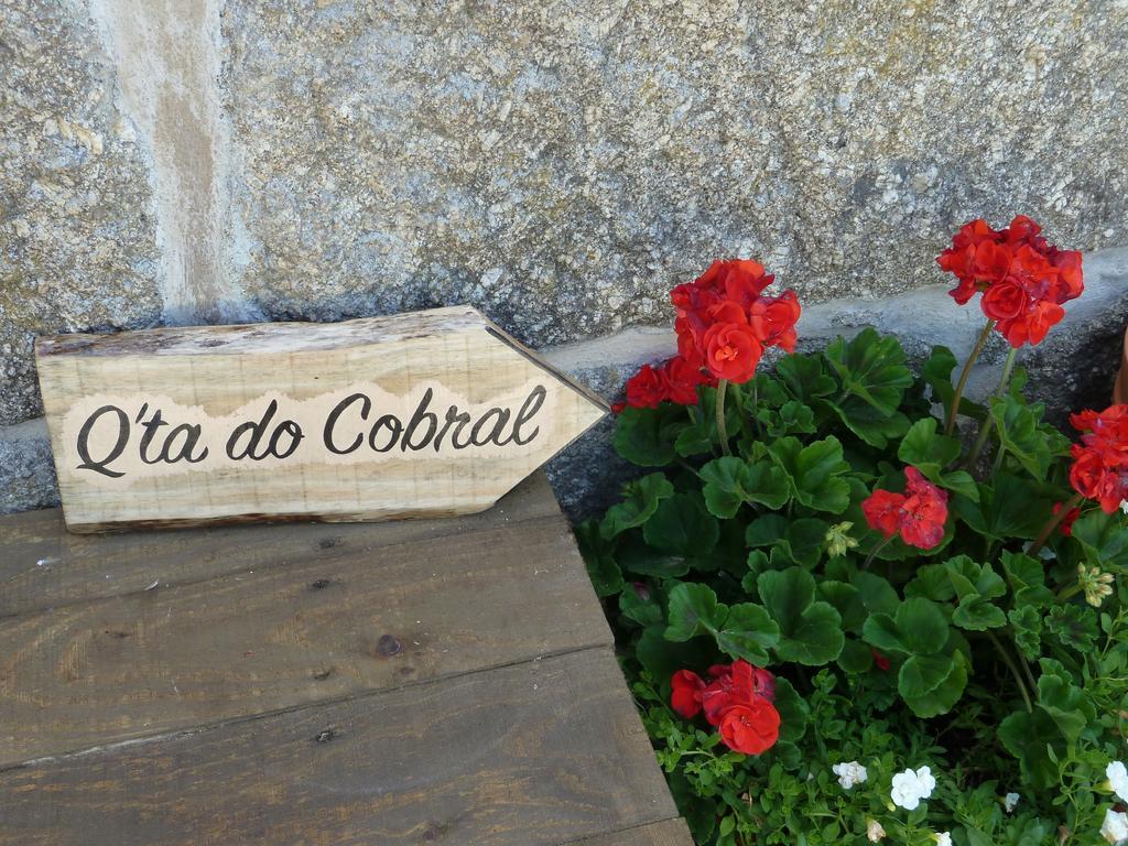 Villa Quinta Do Cobral à Oliveira do Hospital Extérieur photo